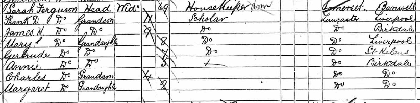 Copy census record for 1891- Sarah Ferguson and grandchildren